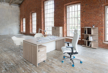 Кабинет руководителя Terra